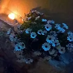 Bed & Breakfast Secret Trapani