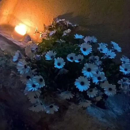 Bed and breakfast Secret Trapani